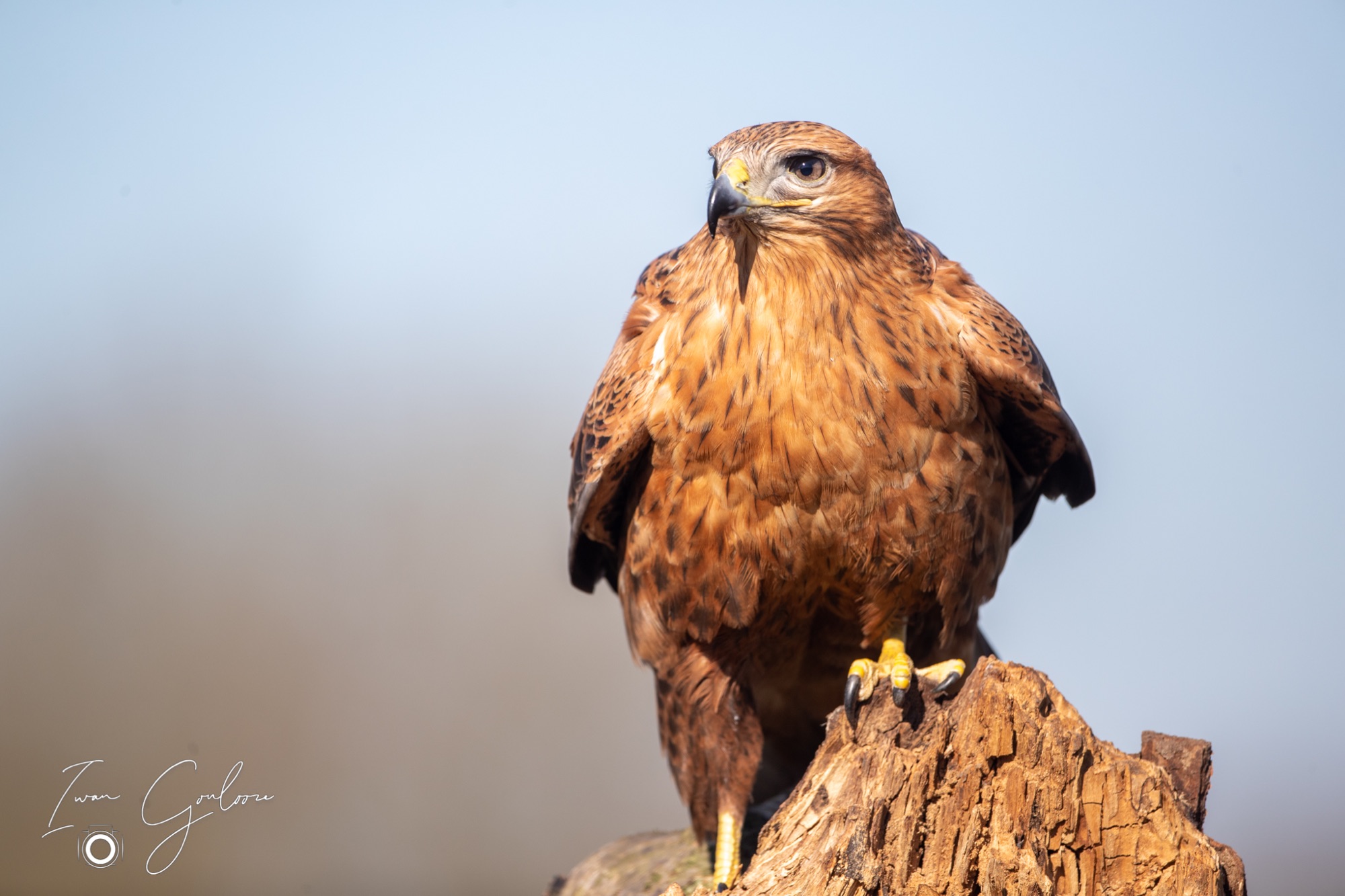 04 maart 2022 145527 1DX43763